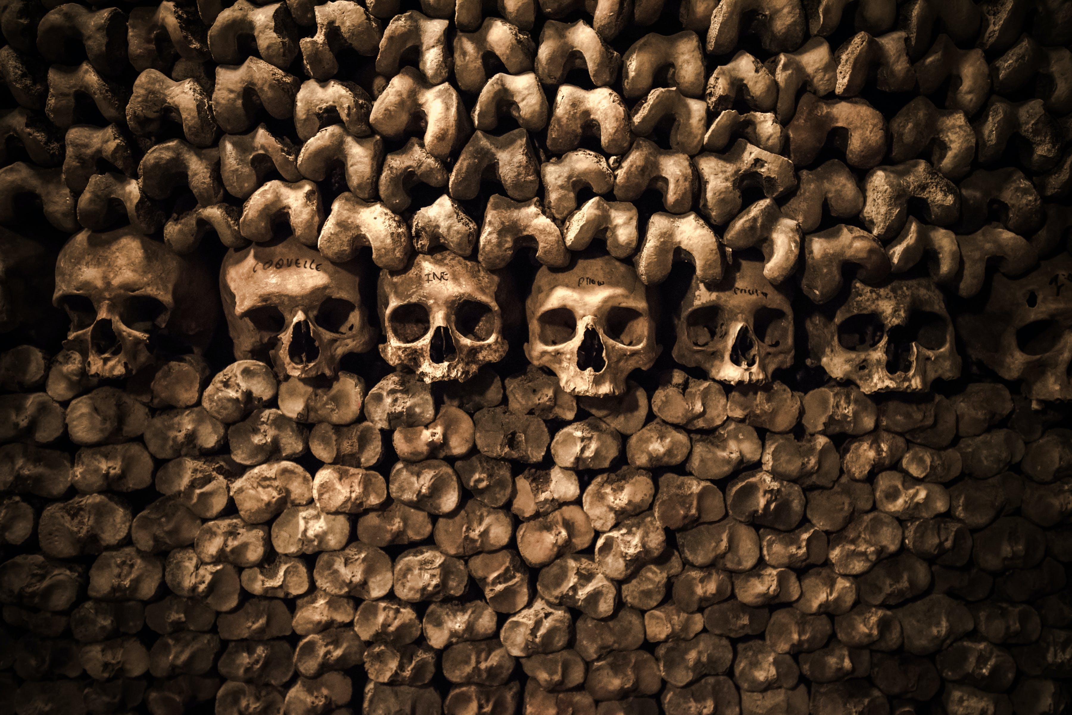 Catacombs-of-paris header-5461834.jpeg