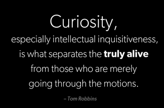 Curiosity.png