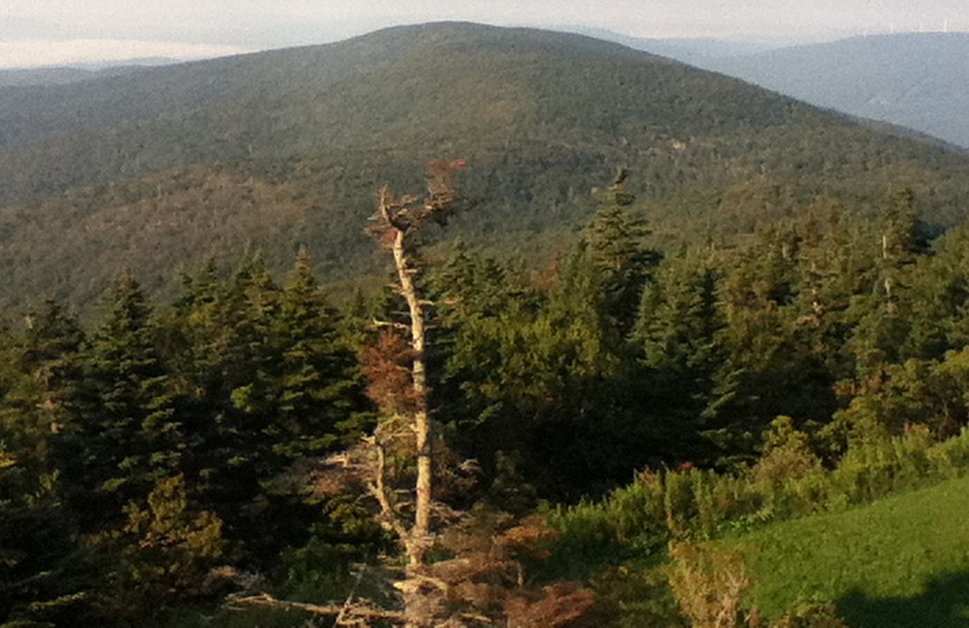 Saddle-ball-mountain-2.JPG.1920x1440 q95 crop.jpg