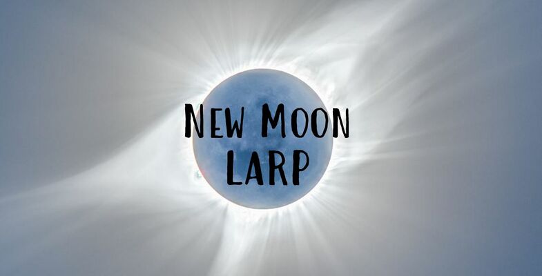 New Moon Banner.JPG