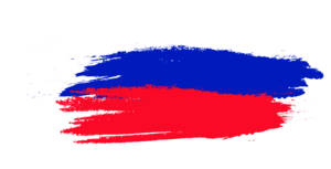 Russian Flag.png