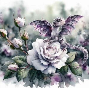 Apollo4use for wiki.jpg