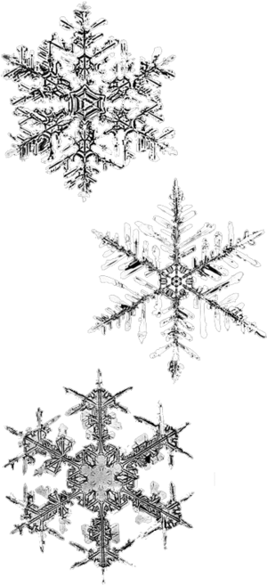 Snowflakes 2.png