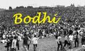 Bodhi Banner.jpeg