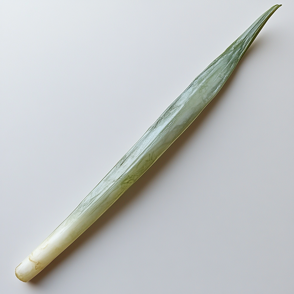 File:Goblinfruit10 copy.png