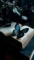Butterflybook.jpg